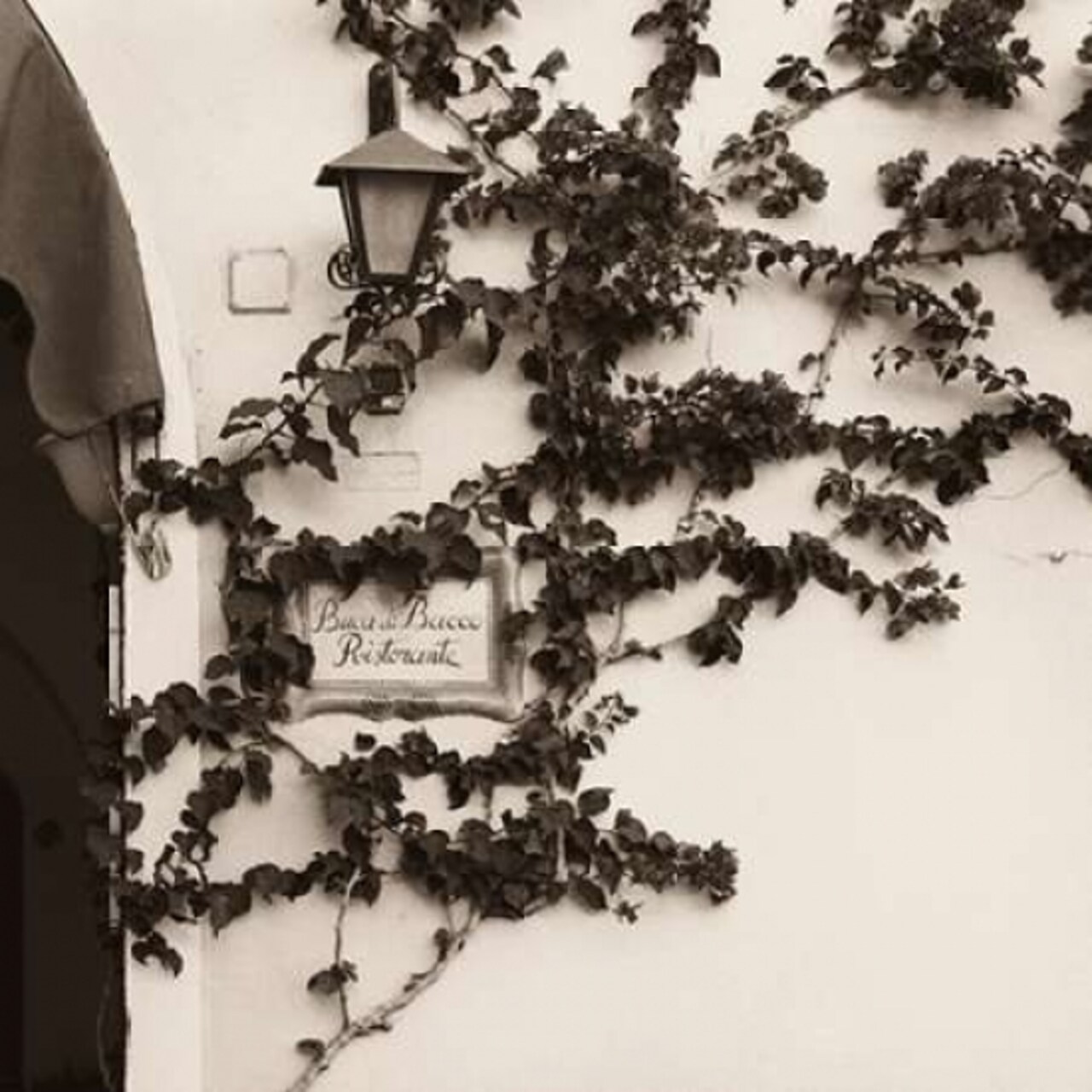 Buca di Bacco Ristorante Poster Print by Alan Blaustein - Item # VARPDXB1339D